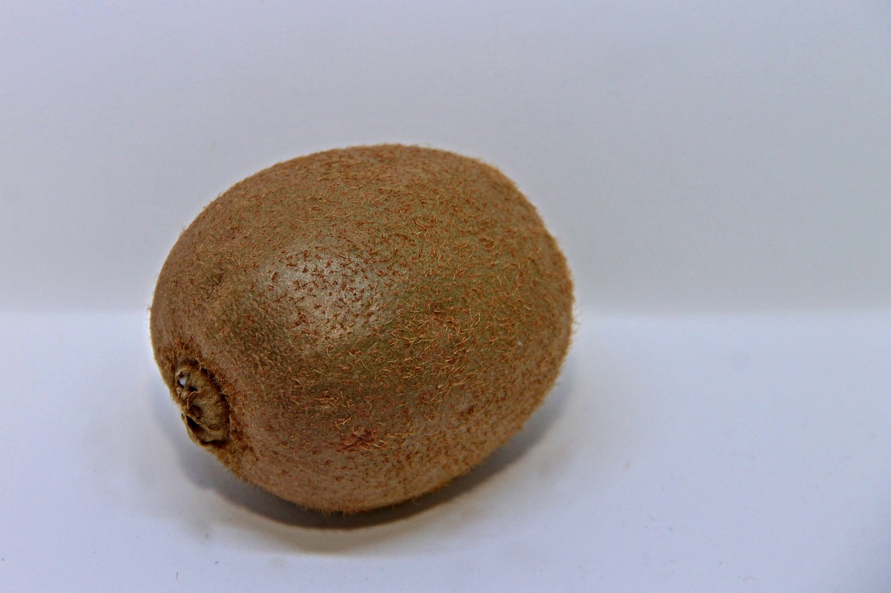 a close up of a kiwi fruit on a white surface, a stipple, hurufiyya, brown body, listing image, mid 2 0's female, potato
