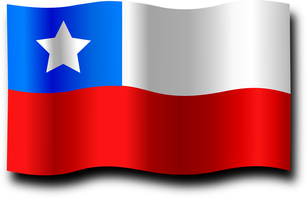 a texas flag waving in the wind, by Francisco de Holanda, digital art, chilean, line vector art, taiwan, server