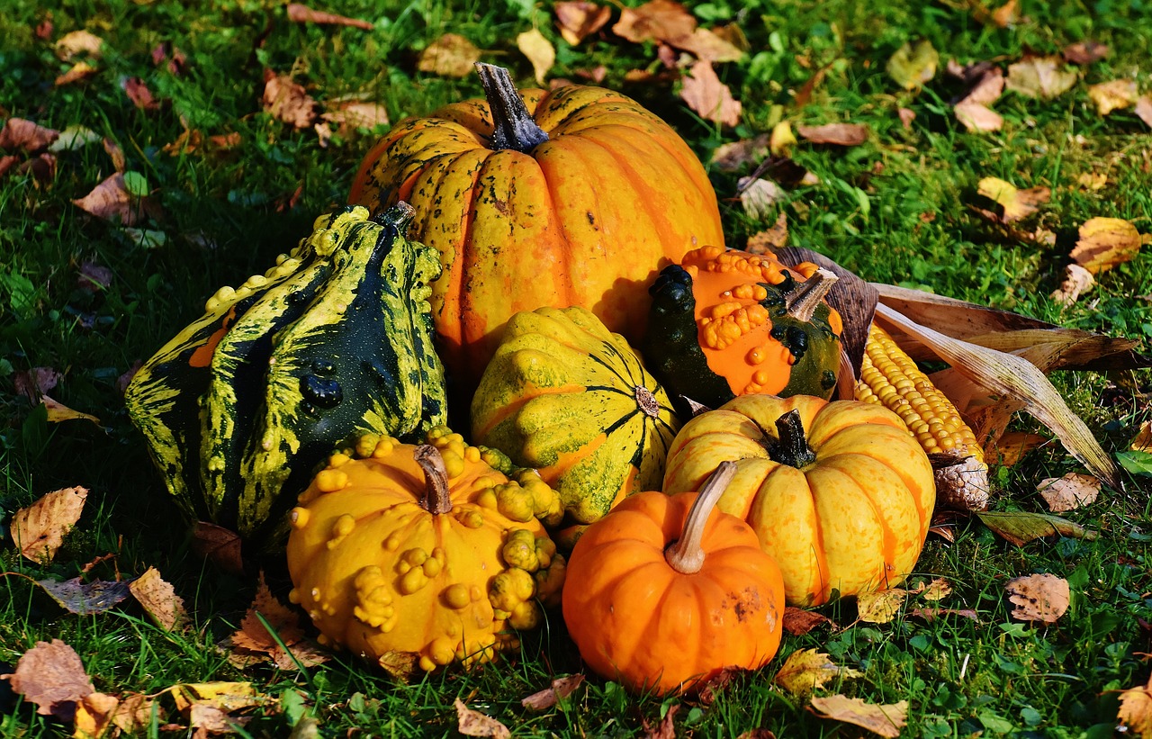 a pile of pumpkins and gourds on the ground, pixabay, renaissance, avatar image, recipe, screenshots, profile pic