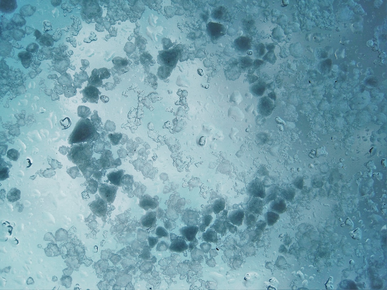 a bunch of bubbles floating on top of a blue surface, a microscopic photo, inspired by Vija Celmins, flickr, skin pore detail, yeast, molecular, stained”