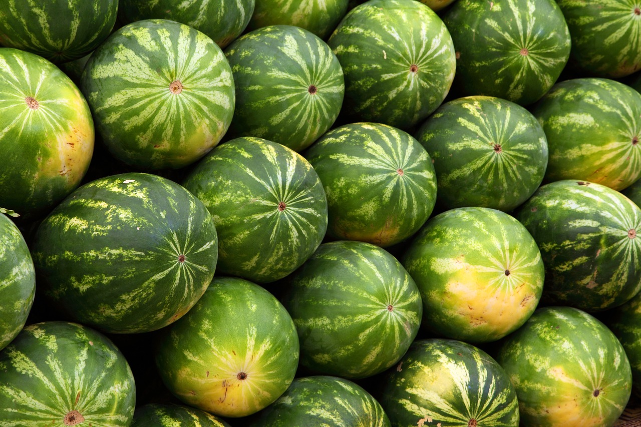 a pile of watermelons sitting on top of each other, a picture, high quality product image”