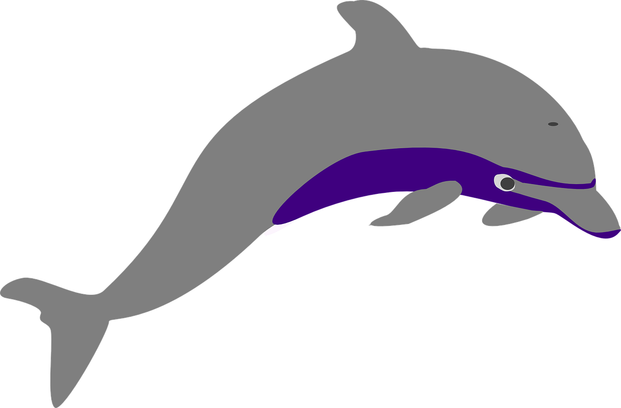 a dolphin that is jumping in the air, inspired by Masamitsu Ōta, deviantart contest winner, hurufiyya, purple. smooth shank, gray anthropomorphic, (high contrast), platypus