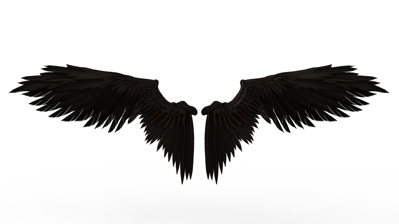 a close up of a wing on a black background, a 3D render, by Andrei Kolkoutine, fallen angels, symmetrical front view, 4k high res, each having six wings