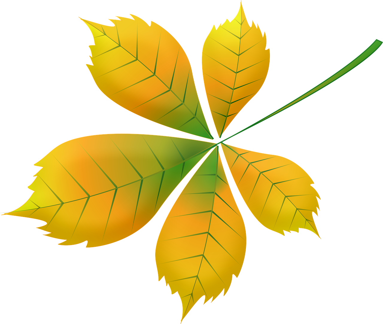 a close up of a leaf on a black background, a digital rendering, full color illustration, beginning of autumn, yellow and green scheme, vectorized