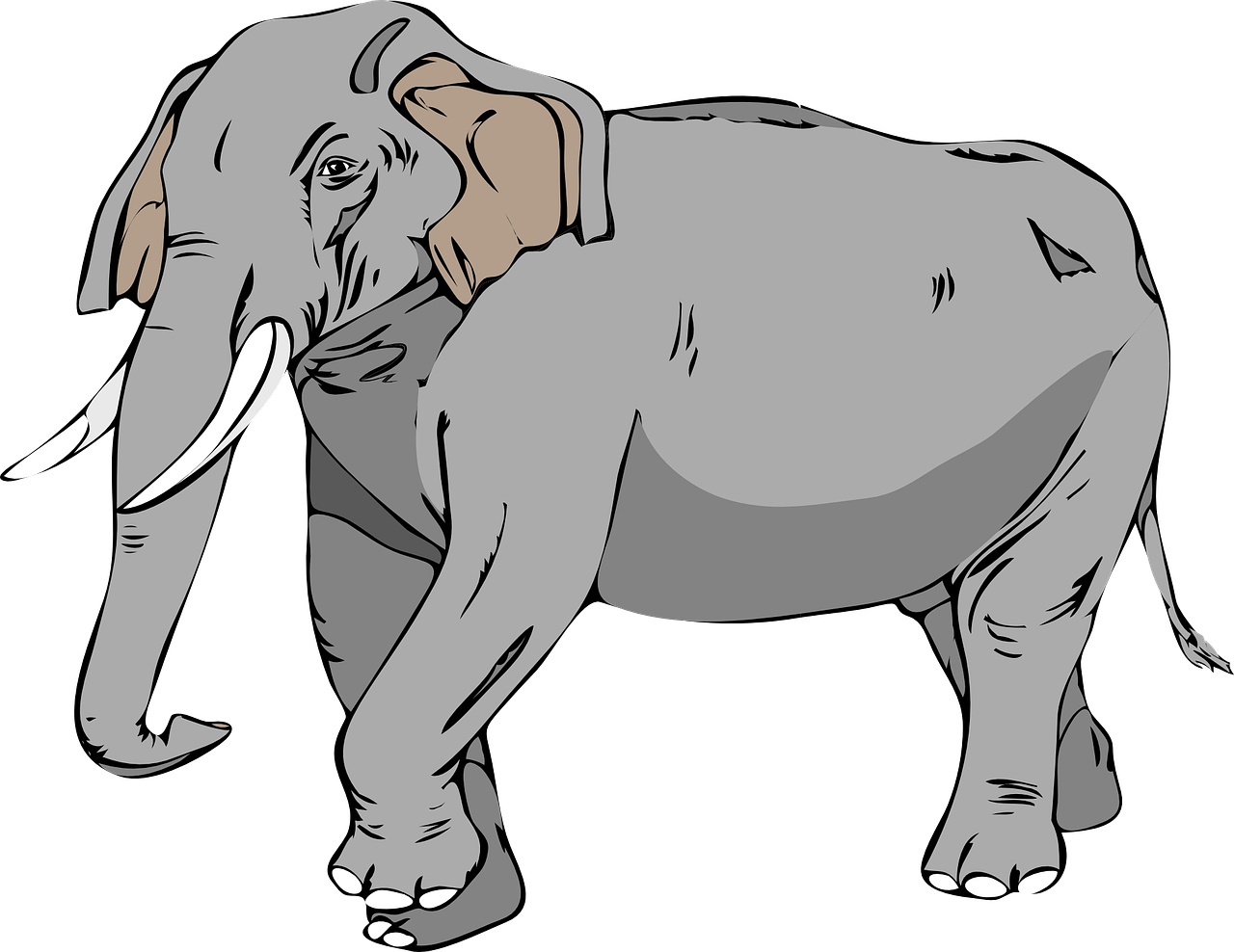 a drawing of an elephant with tusks, an illustration of, trending on pixabay, mingei, grey skinned, with a black background, full body close-up shot, flat color