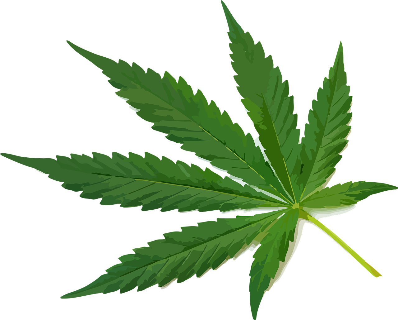 a marijuana leaf on a black background, an illustration of, inspired by Mary Jane Begin, hurufiyya, sharp high detail illustration, ¯_(ツ)_/¯, high definition screenshot, leaves foliage and stems