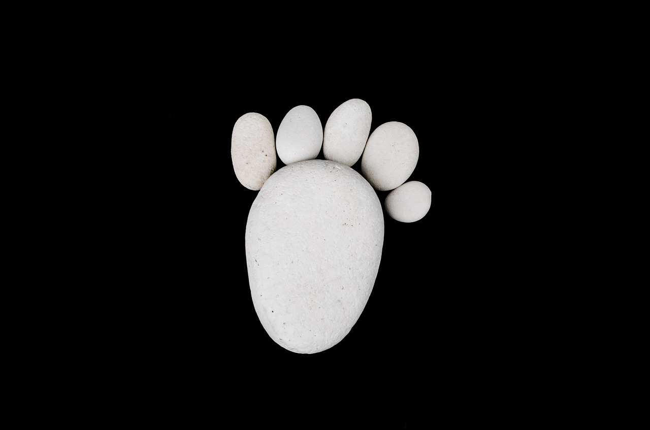 a close up of a rock with a dog's paw on it, a marble sculpture, by Jan Rustem, minimalism, real human feet, on black background, white stones, white color