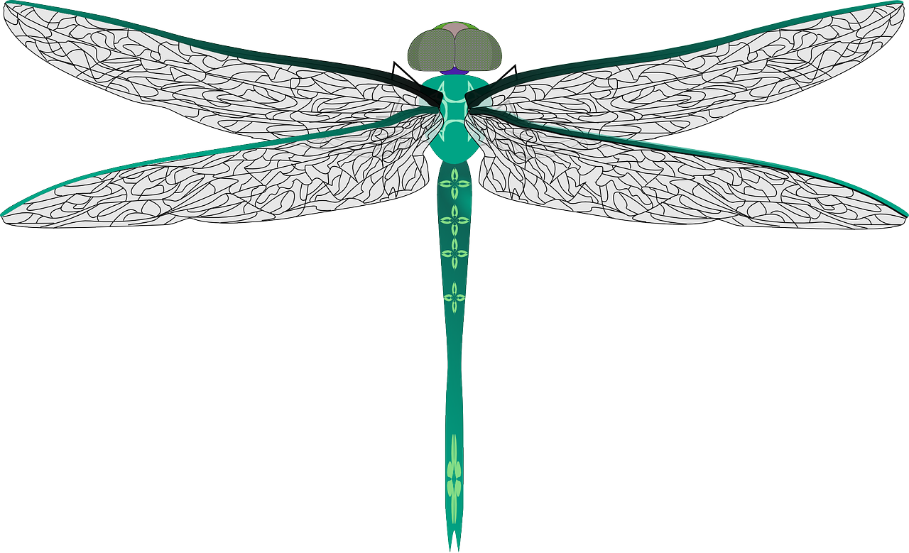 a green and white dragonfly on a black background, lineart, inspired by Roger Dean, deviantart contest winner, hurufiyya, orthographic front view, cell shaded adult animation, giant dragon wings, teals