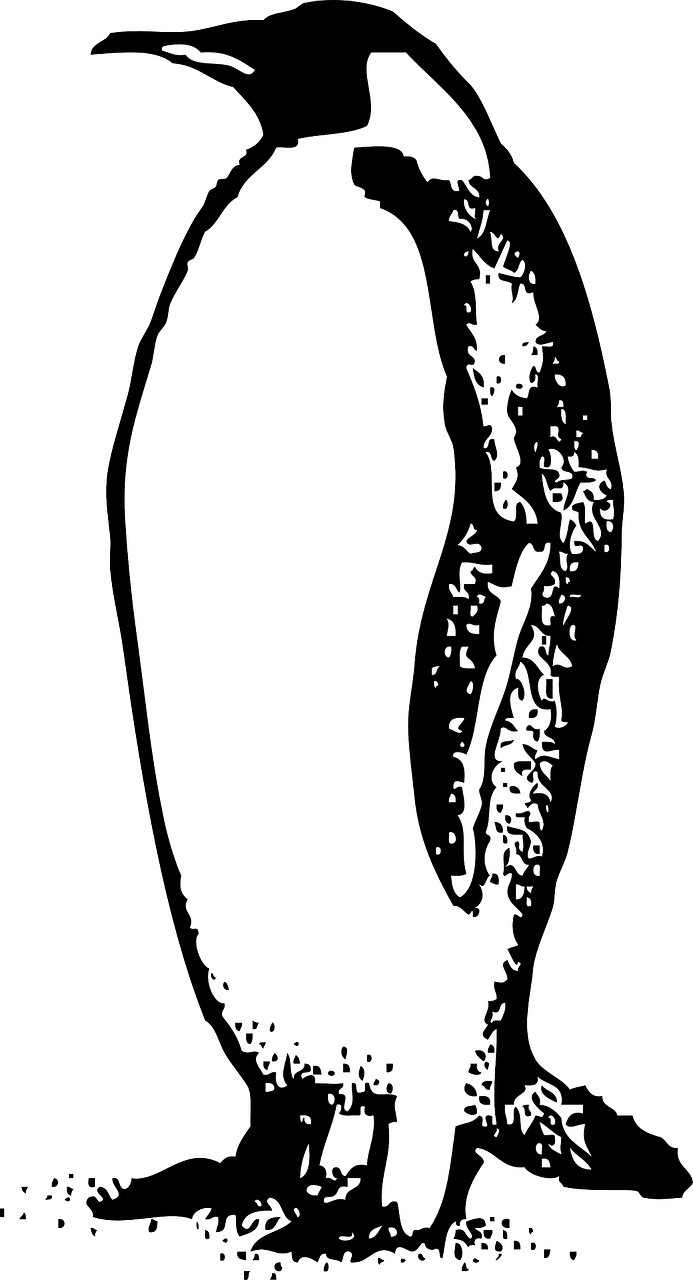 a black and white image of a penguin, a stipple, inspired by João Artur da Silva, hurufiyya, smooth oval head, ethereal eel, phone wallpaper, drawn in microsoft paint