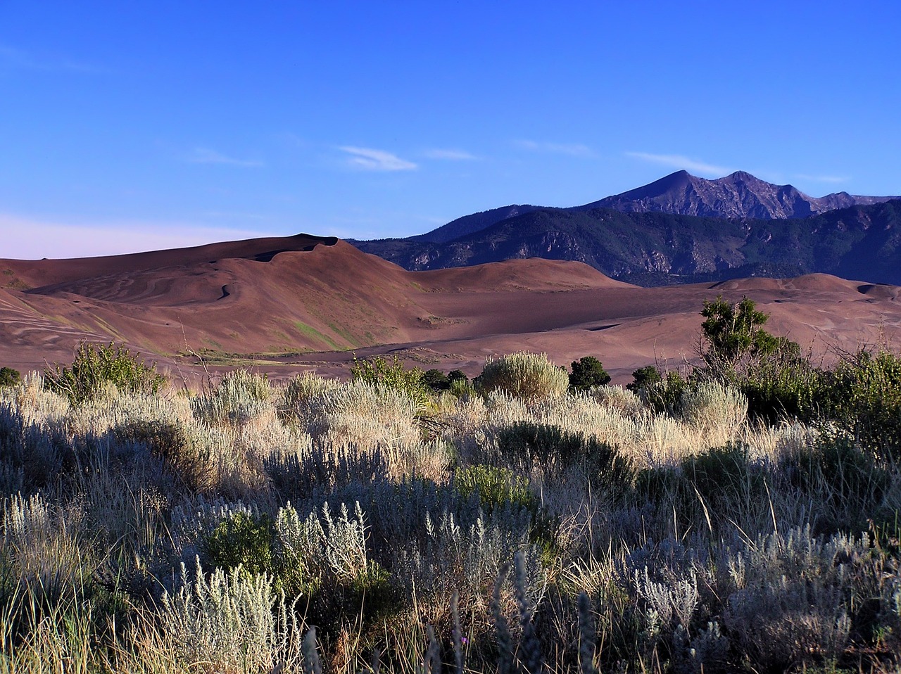 a field of grass with mountains in the background, inspired by Ansel Adams, flickr, overlooking martian landscape, majestic dunes, deep shadows and colors, craters