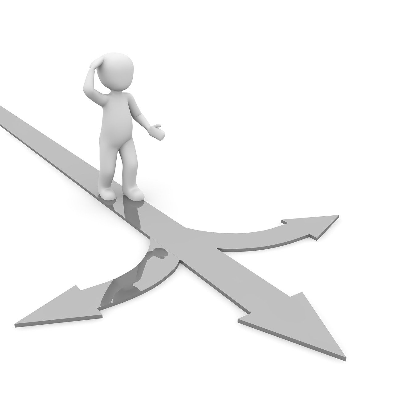 a person standing on two arrows pointing in opposite directions, a picture, ambient occlusion:3, single file, file photo, paradox