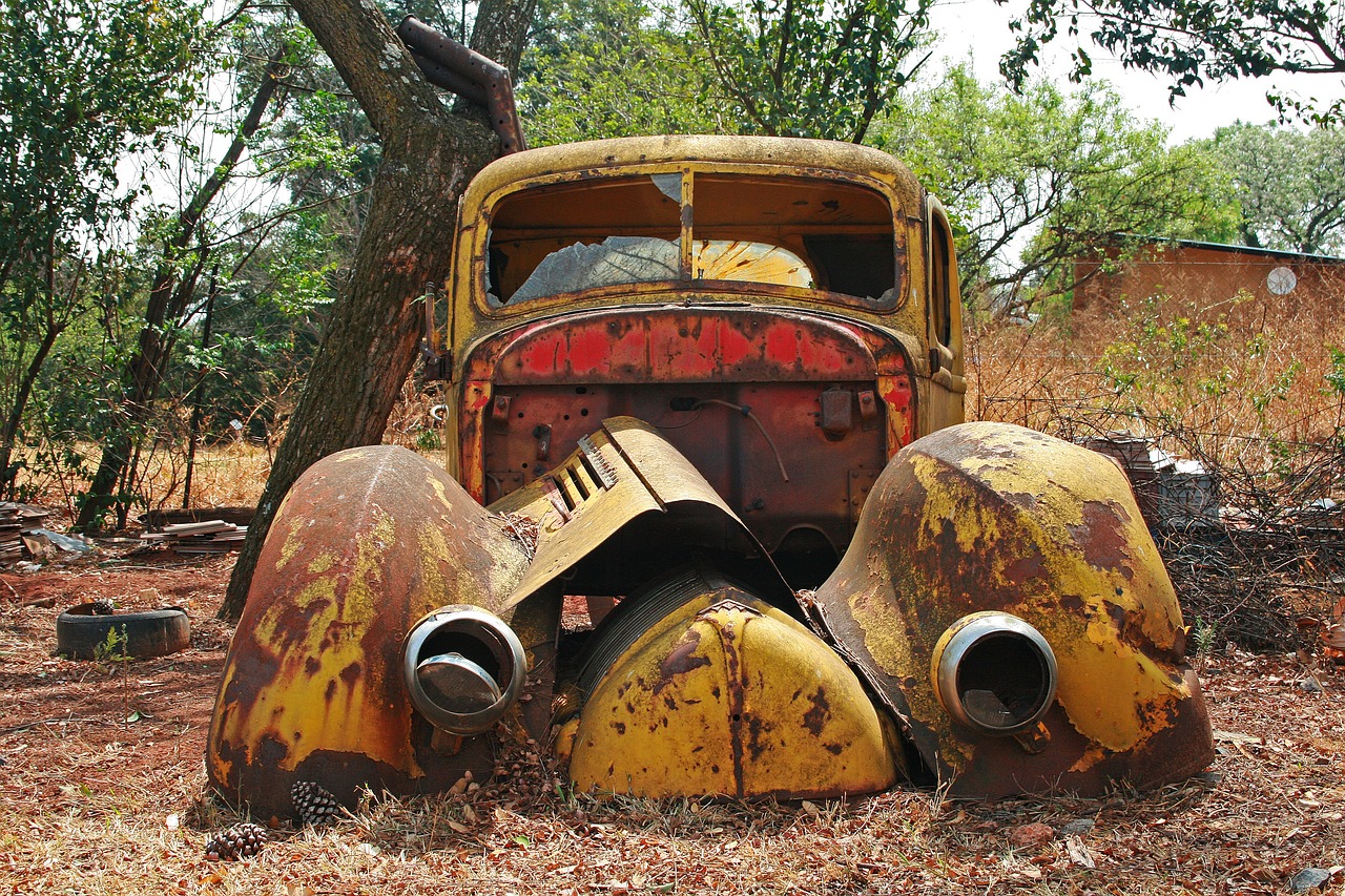 an old truck sitting in the middle of a field, flickr, auto-destructive art, yellow school bus, stained antique copper car paint, twisted trunk, photograph credit: ap