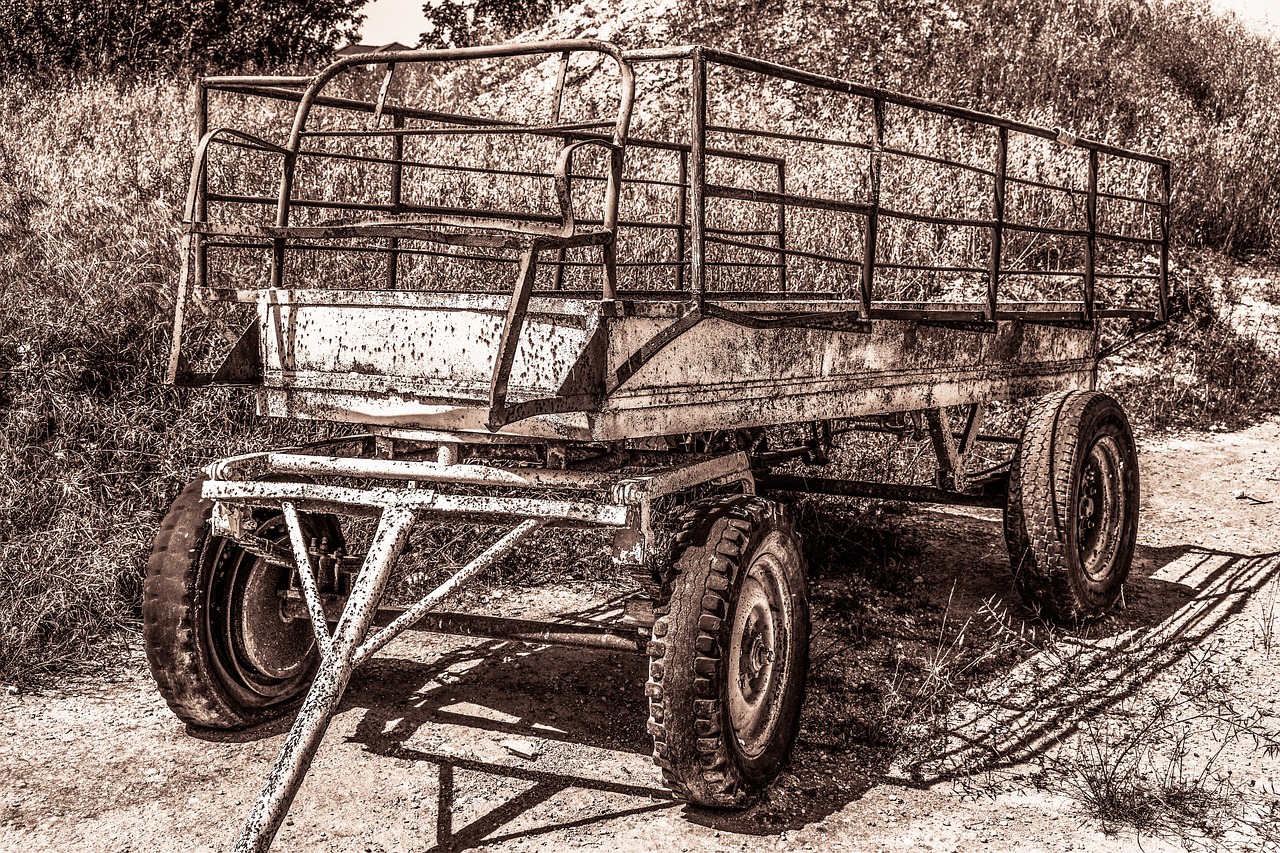 a black and white photo of a horse drawn wagon, by Richard Carline, pixabay, fine art, rusted steel, duotone!, ultra textured, 4k trailer