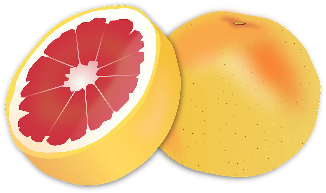 a grapefruit cut in half on a white background, an illustration of, pixabay, digital art, pink and yellow, !!! very coherent!!! vector art, grain”, yellow-orange