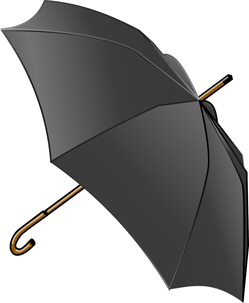 a black umbrella with a wooden handle, a digital rendering, pixabay, conceptual art, vector shaded anime, everyday plain object, high res, sharp high detail illustration