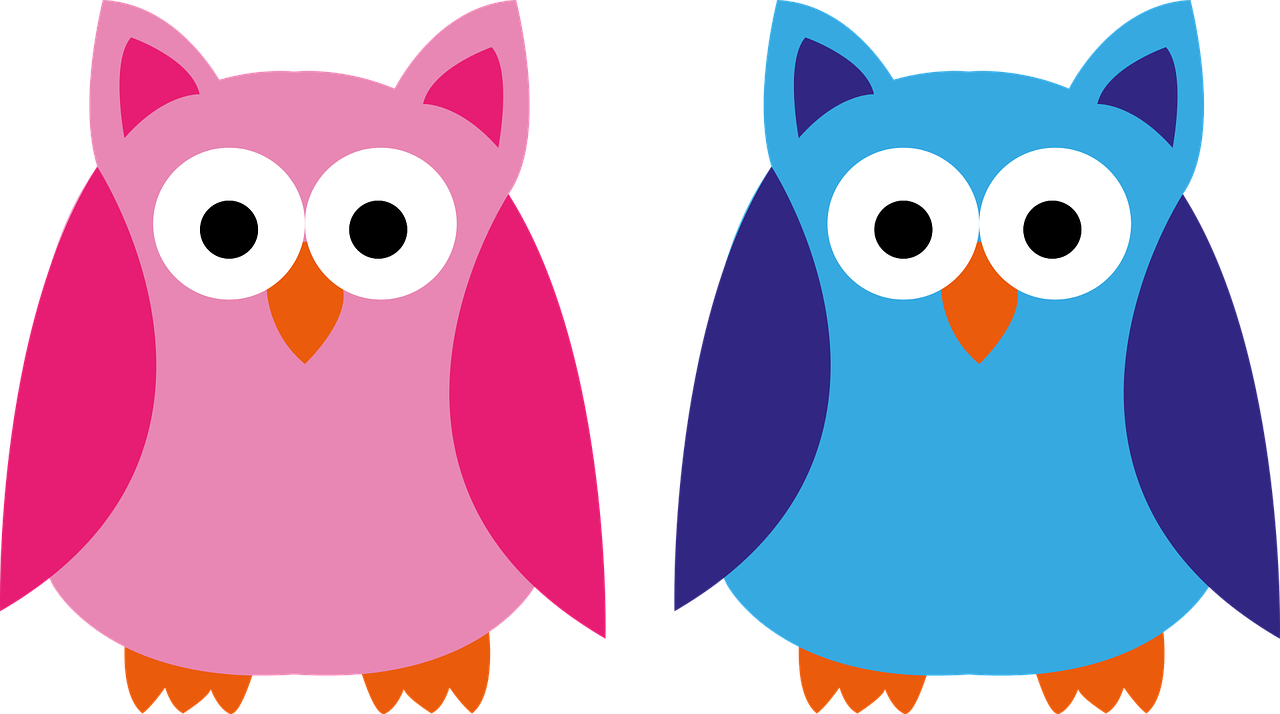 a couple of owls standing next to each other, vector art, pixabay, digital art, dayglo pink and blue, black and blue and purple scheme, style of titmouse animation, 8 4 mm