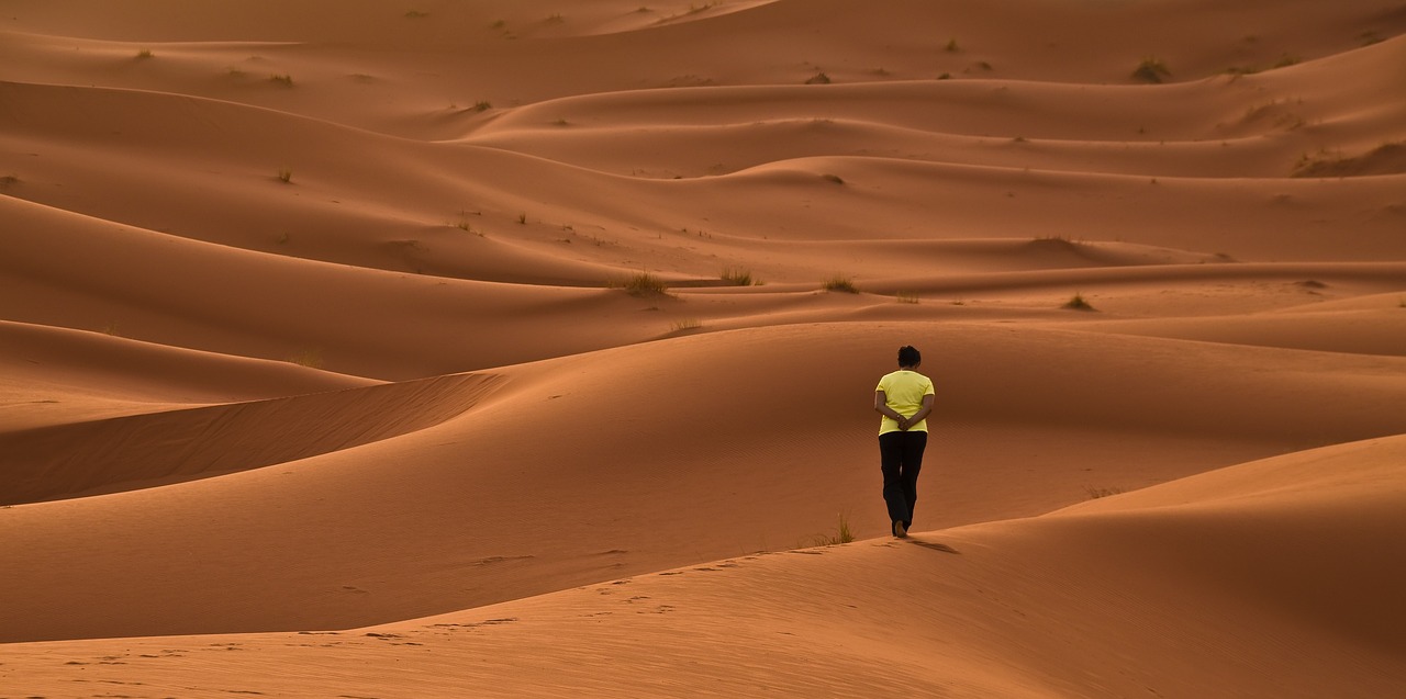 a man standing in the middle of a desert, by Youssef Howayek, les nabis, running in savana, lonely scenery yet peaceful!!, orange hue, sinuous