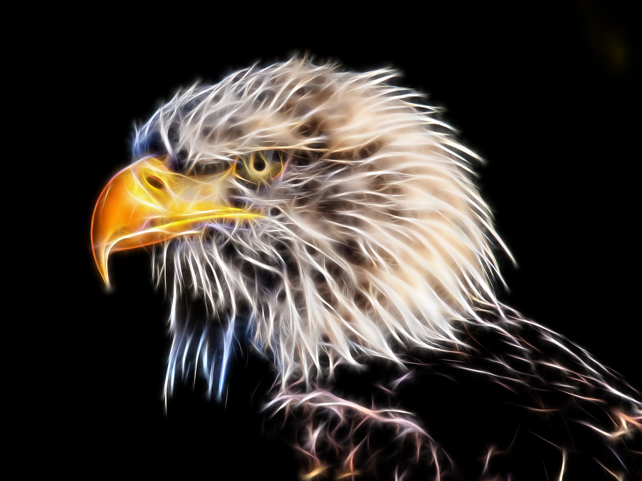 a close up of a bird of prey, a digital painting, digital art, electrified hair, patriot, diffuse lightpainting, oil paint style