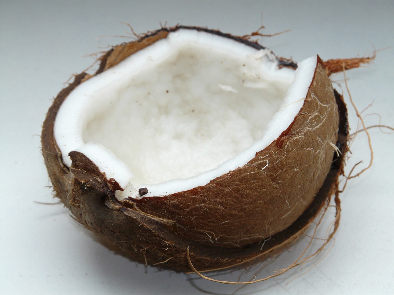 a half eaten coconut sitting on top of a table, high quality product image”, viewed from below, wikimedia, cut-away