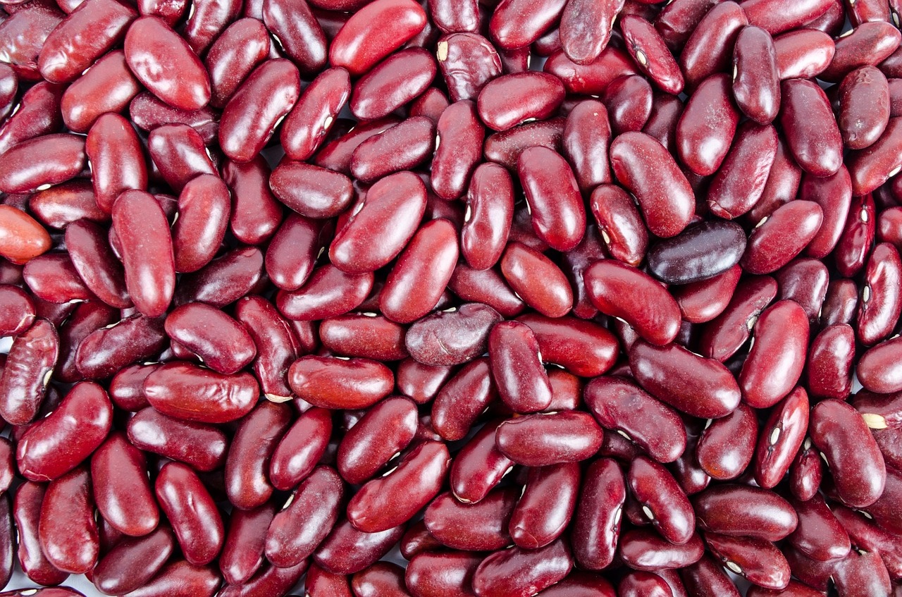 a pile of red beans sitting on top of each other, a stock photo, pexels, mingei, smooth oval head, high resolution!!, purple skin color, official photo