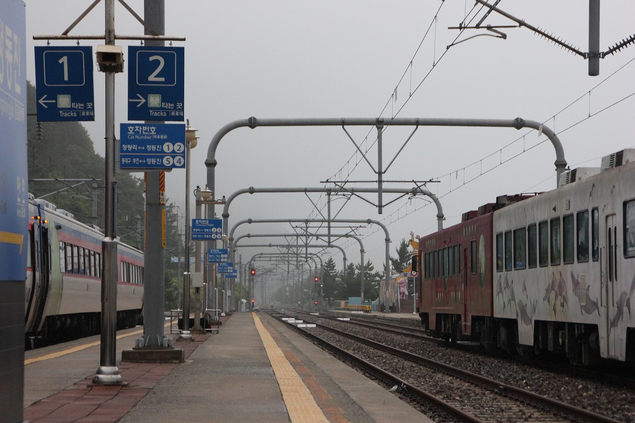 a train traveling down train tracks next to a train station, by Yi Jaegwan, flickr, mingei, under a gray foggy sky, summer morning, view from front, reddish