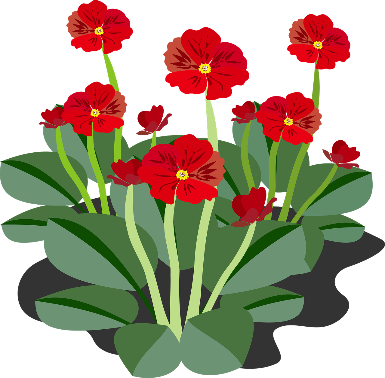 a bunch of red flowers with green leaves, an illustration of, by Aleksander Kotsis, pixabay, gardens with flower beds, a beautiful artwork illustration, on a flat color black background, nineteenth century