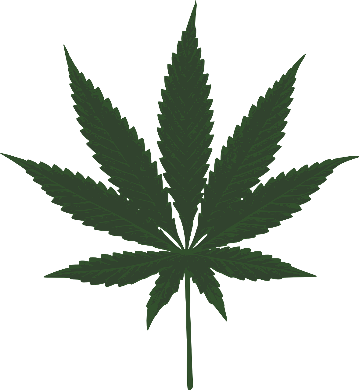 a marijuana leaf on a black background, inspired by Mary Jane Begin, ¯_(ツ)_/¯, ( ( dithered ) ), -h 1024, various posed