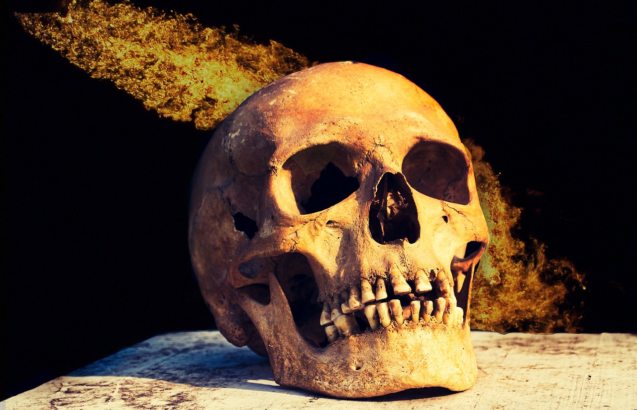 a close up of a skull with smoke coming out of it, a portrait, shutterstock, vanitas, richard iv the roman king photo, yellowed with age, hdr photo, realistic old photo