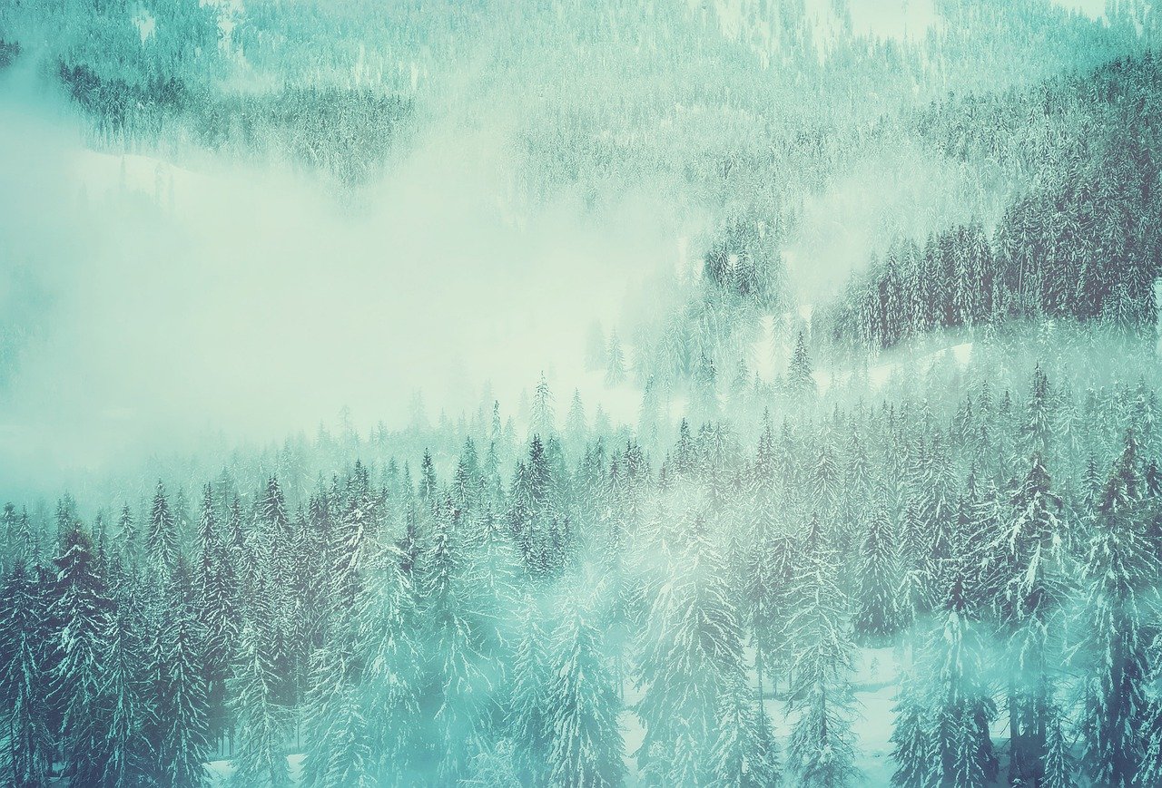 a snow covered forest filled with lots of trees, inspired by Elsa Bleda, romanticism, valley mist, pastel faded effect, “ aerial view of a mountain, epic dreamlike fantasy landscape