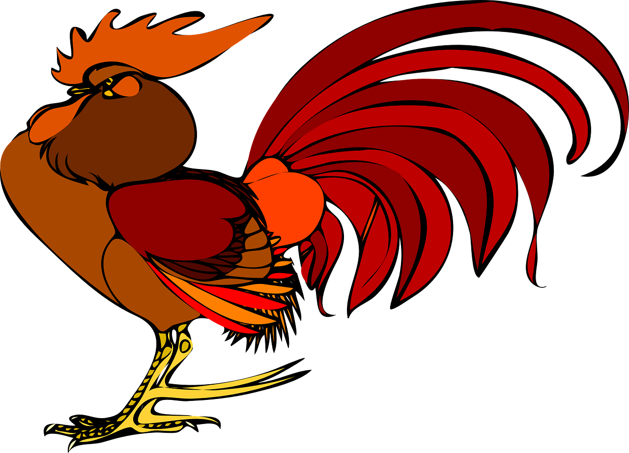 a close up of a rooster on a black background, an illustration of, by Ingrida Kadaka, pixabay contest winner, cell shaded adult animation, red and orange colored, mascot illustration, full length shot