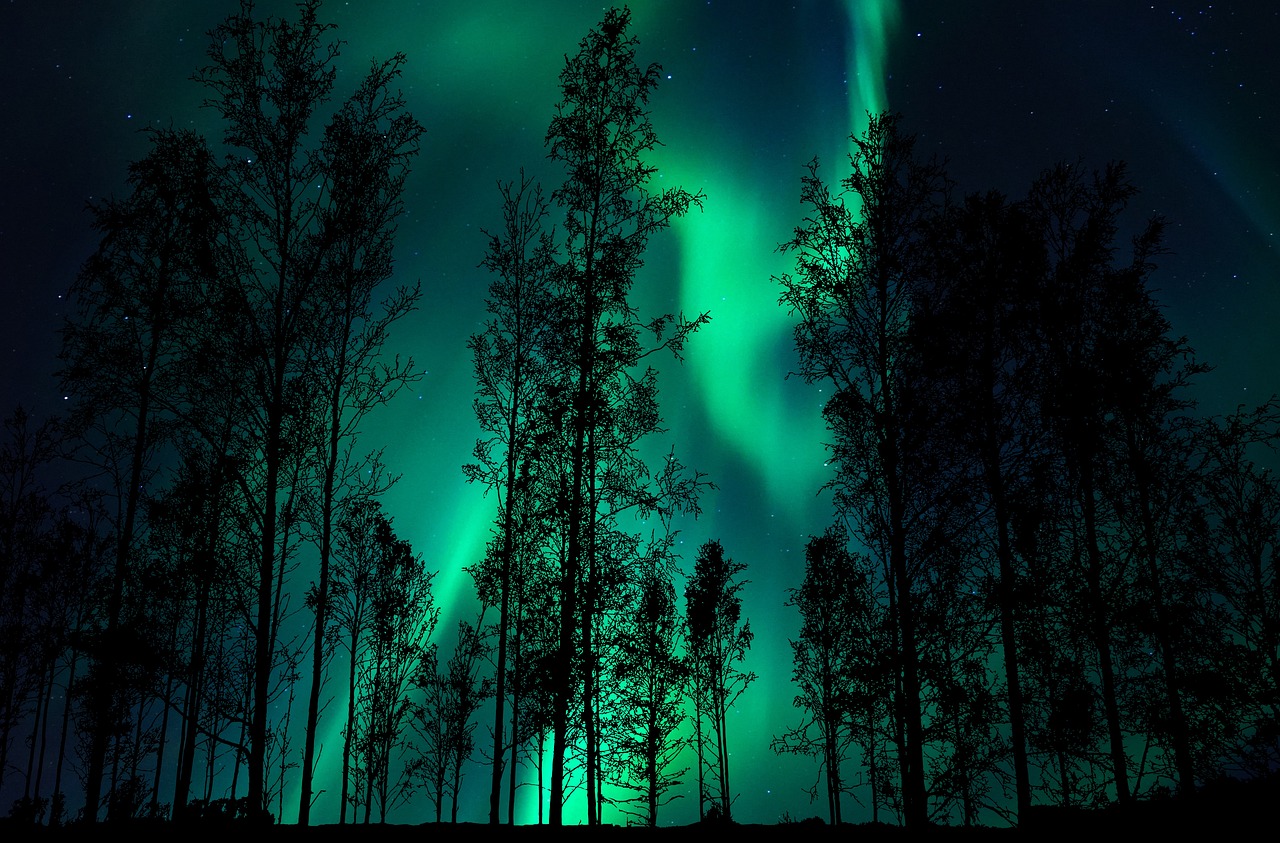 a group of trees with green lights in the sky, by Anato Finnstark, alaska, beautiful”, deep colours. ”