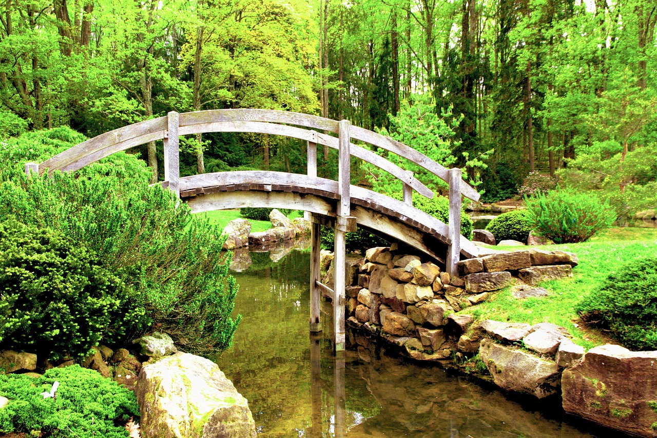 a wooden bridge over a small stream in a park, a picture, inspired by Shūbun Tenshō, shutterstock, renaissance, ((oversaturated)), garden pond scene, 90s photo, woodstock