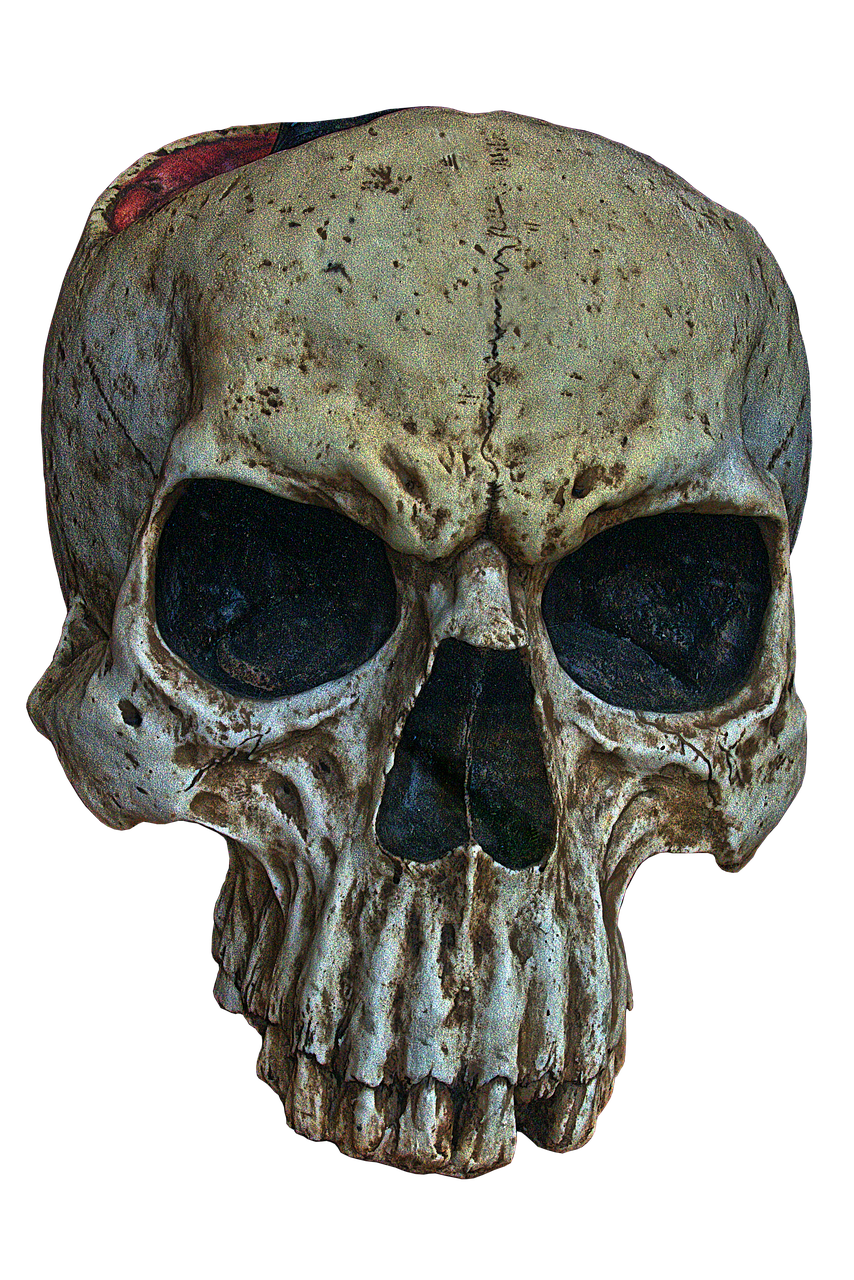 a close up of a skull on a black background, by Aleksander Gierymski, flickr, simon bisley!, skull cap, neanderthal people, witch - doctor