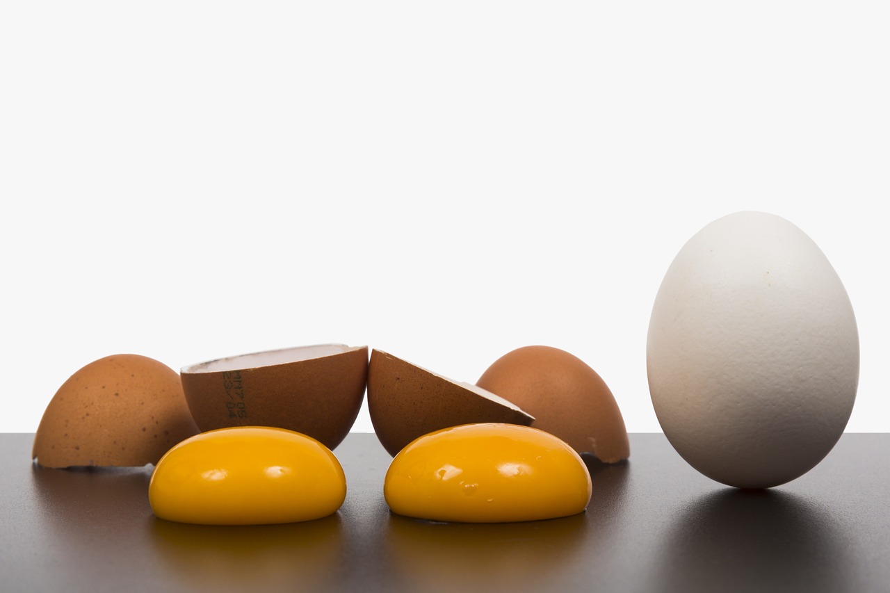 a group of eggs sitting on top of a table, a picture, by Juan O'Gorman, bauhaus, professional product photo, banner, miniature product photo, yellow