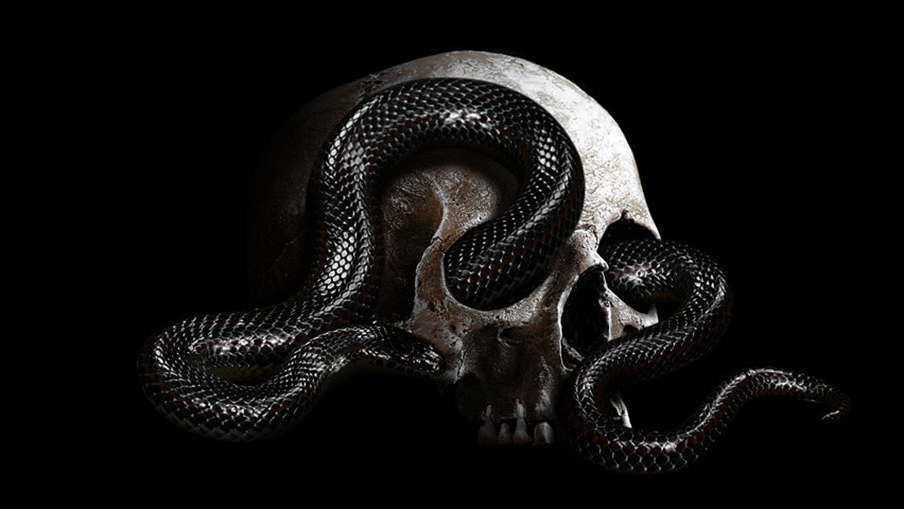 a close up of a skull with a snake on it, an album cover, featured on zbrush central, gothic art, profile pic, amoled wallpaper, big snake, skulls are lying underneath