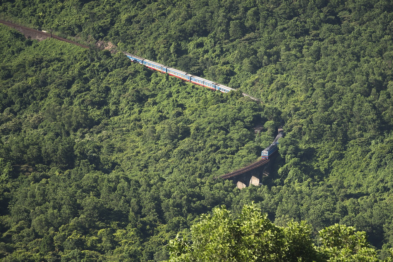 a train traveling through a lush green forest, by Richard Carline, great wall, reportage photo, cuba, visible from afar!!