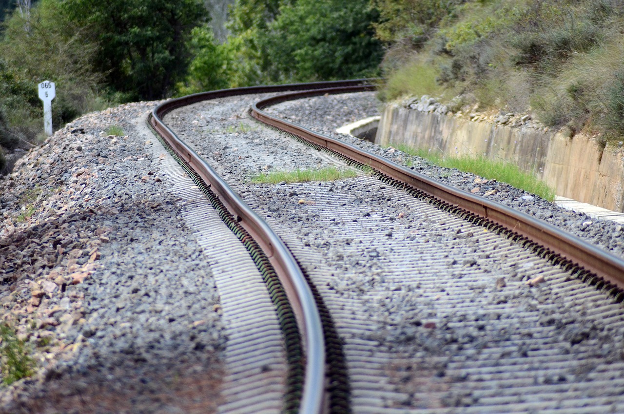 a train traveling down train tracks next to a forest, by Richard Carline, flickr, figuration libre, serpentine curve!!!, detailed zoom photo, stock photo