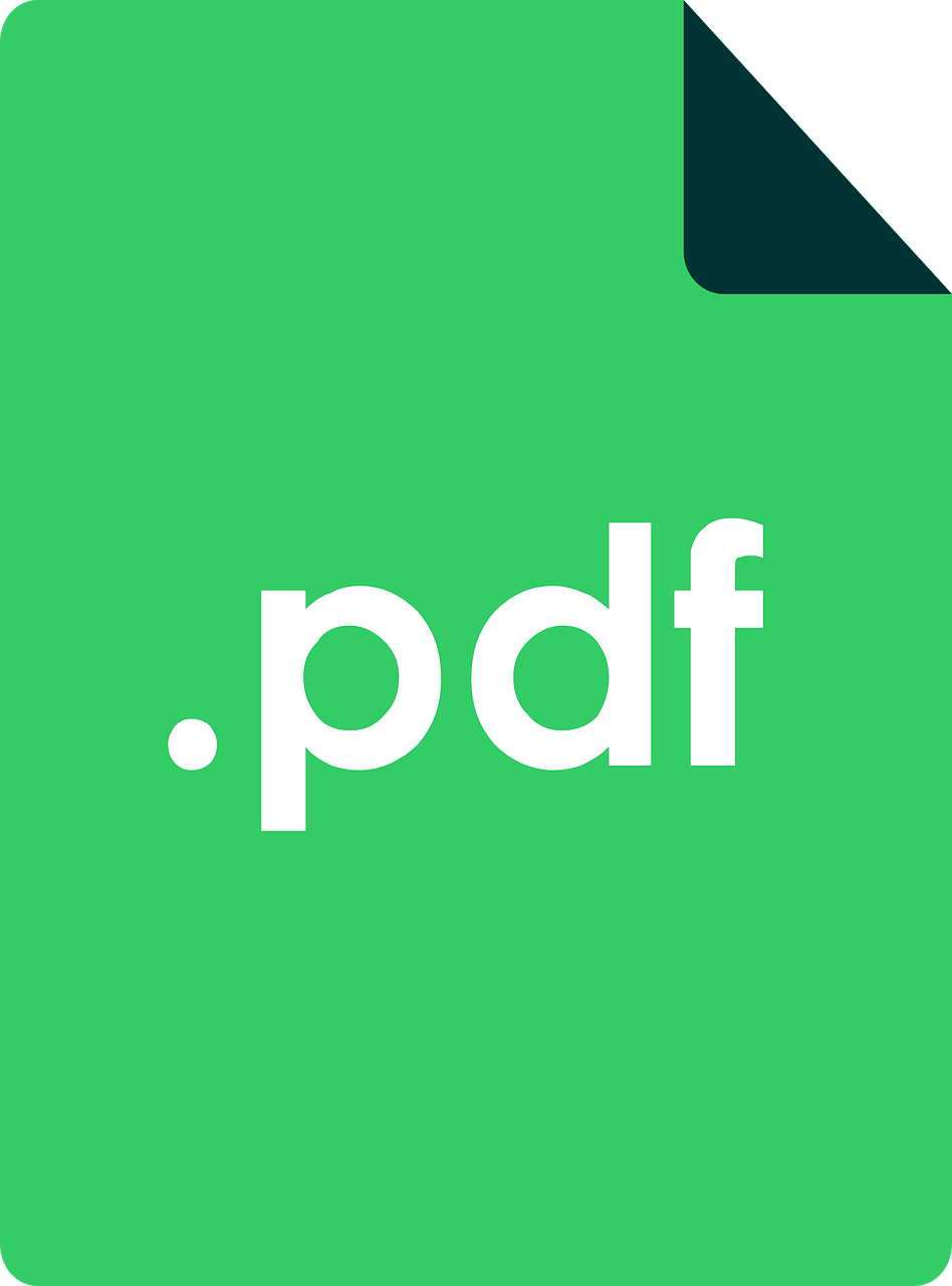 a green square with the word pdf on it, a portrait, discord pfp, official product image, without text, folded