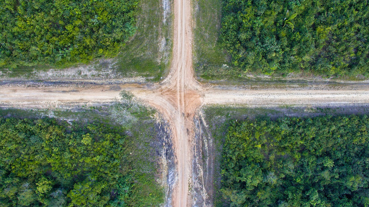 an aerial view of a dirt road surrounded by trees, a portrait, conceptual art, high quality product image”, shipibo, symmetrical outpost, intersection