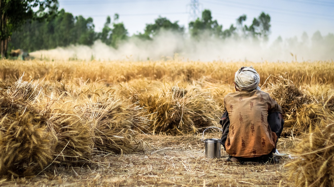a person sitting in the middle of a field, by Ibrahim Kodra, pexels contest winner, precisionism, harvest, realistic scene, sweltering, foreground background
