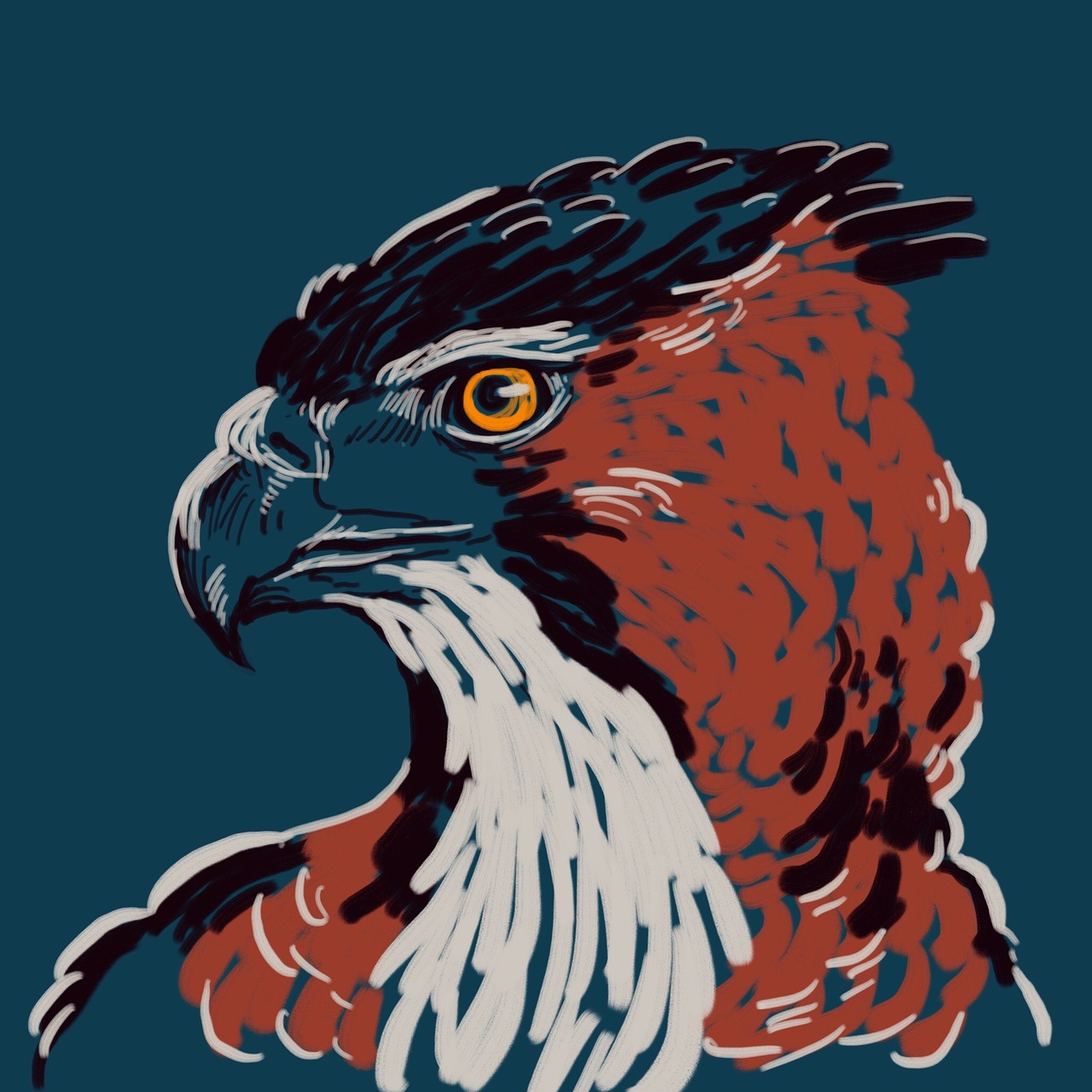 a close up of a bird of prey on a blue background, vector art, inspired by John James Audubon, tumblr contest winner, digital art, red brown and blue color scheme, portrait illustration, sketch illustration, avatar image