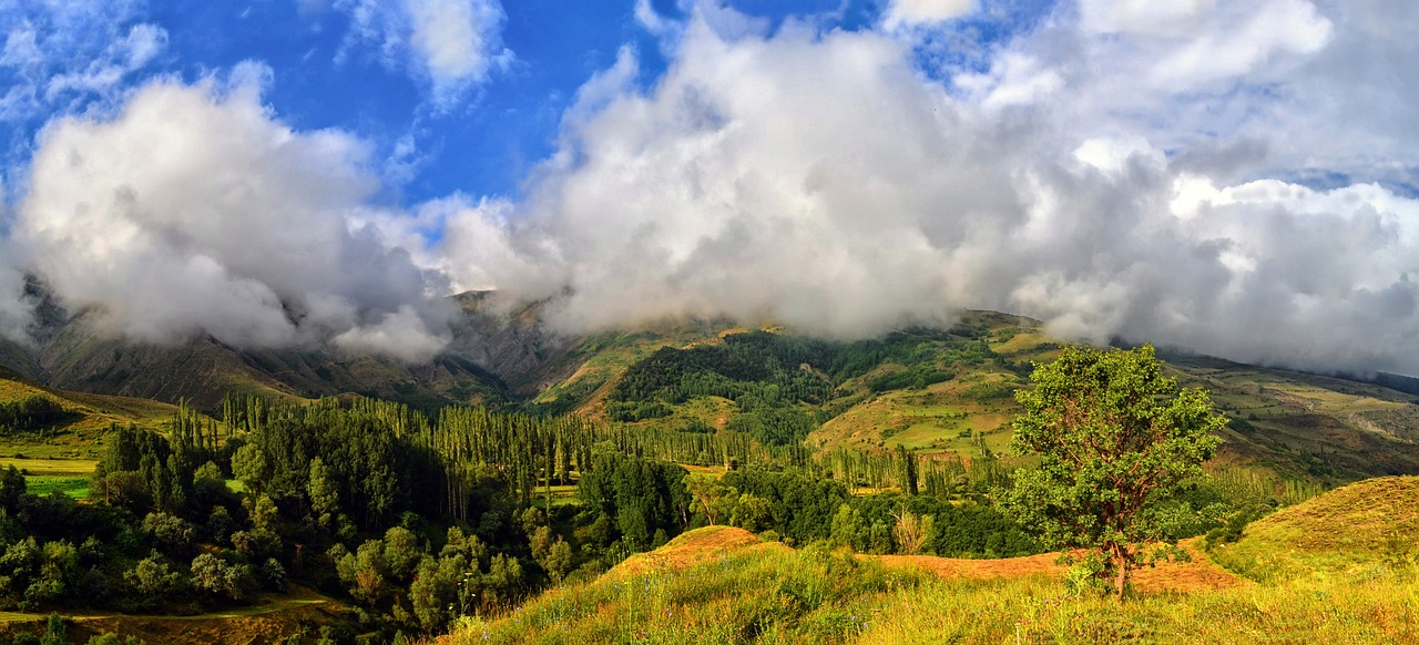 a view of a mountain range with clouds in the sky, by Muggur, flickr, sumatraism, meadows on hills, hdr!, forest clearing, panoramic