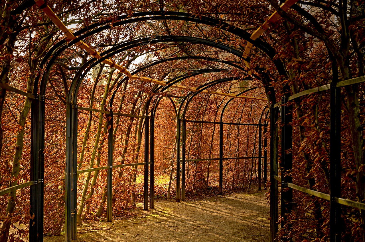 a walkway covered in lots of leaves next to a forest, by Thomas Häfner, pixabay, art nouveau, steel archways, dried vines, in rich color, great light and shadows”