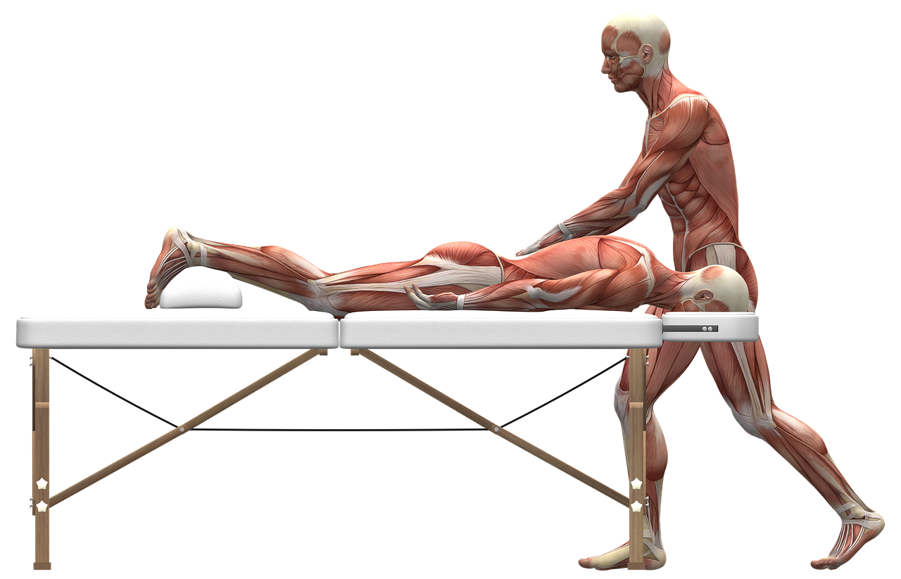 a man that is laying down on a table, a digital rendering, magic anatomy, marsden, english, presentation
