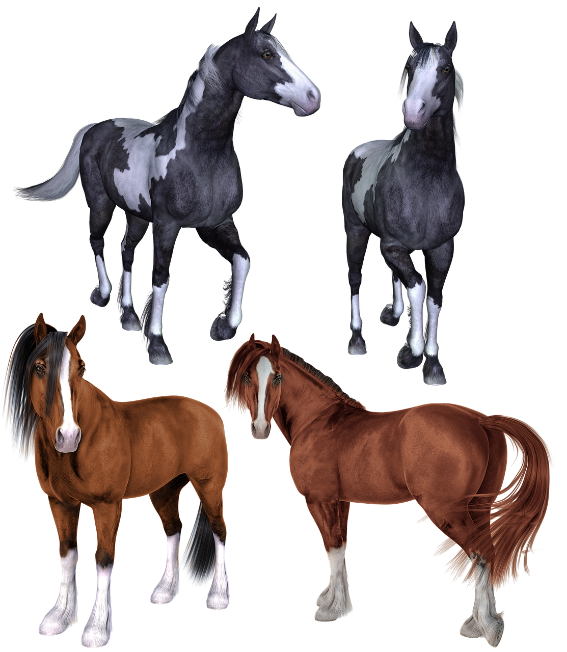 a group of horses standing next to each other, by Linda Sutton, trending on polycount, renaissance, hand painted textures on model, various poses, lowres, four