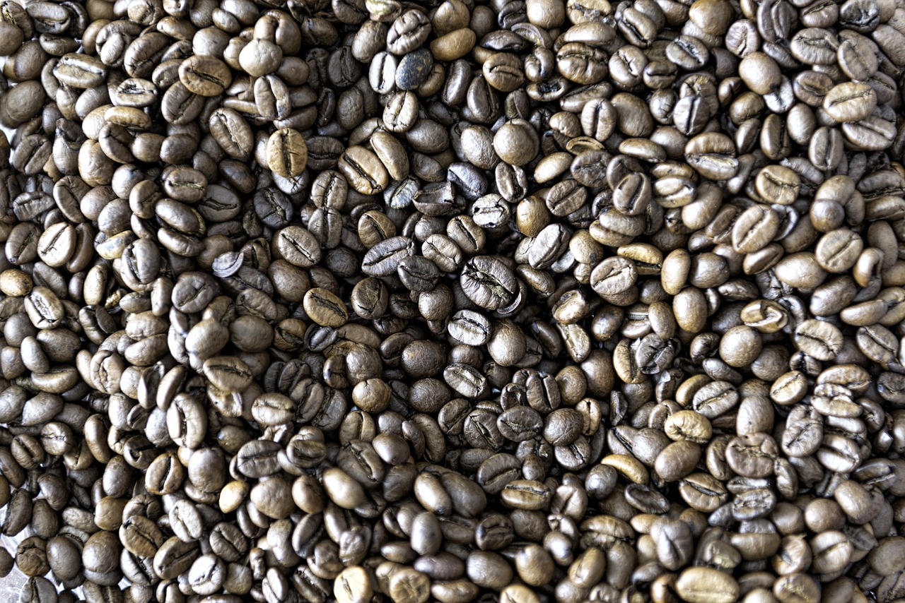 a pile of coffee beans sitting on top of each other, high quality product image”, grayish, looking towards camera, slightly sunny