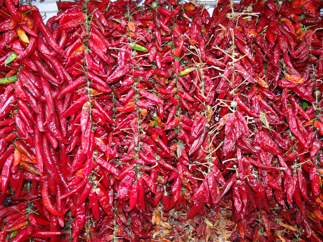 a pile of red hot peppers sitting on top of a table, a photo, by Ramón Silva, 5 feet away, detiled, but very good looking”, peruvian looking