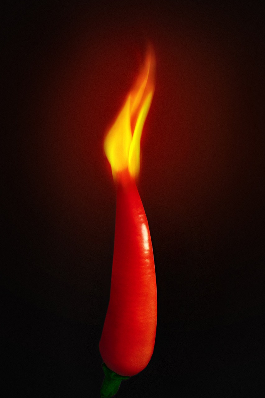 a red hot pepper with flames coming out of it, a picture, by Jan Rustem, fine art, candle wax, profile image, red ribbon, awkward situation