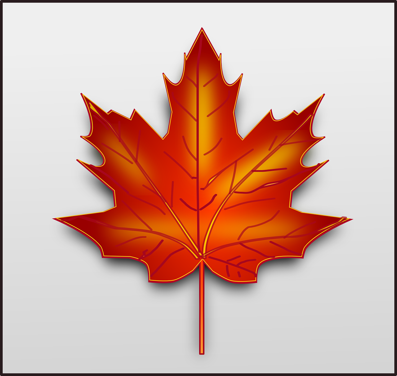 a red maple leaf on a white background, vector art, on grey background, made entirely from gradients, vector art for cnc plasma, took on ipad