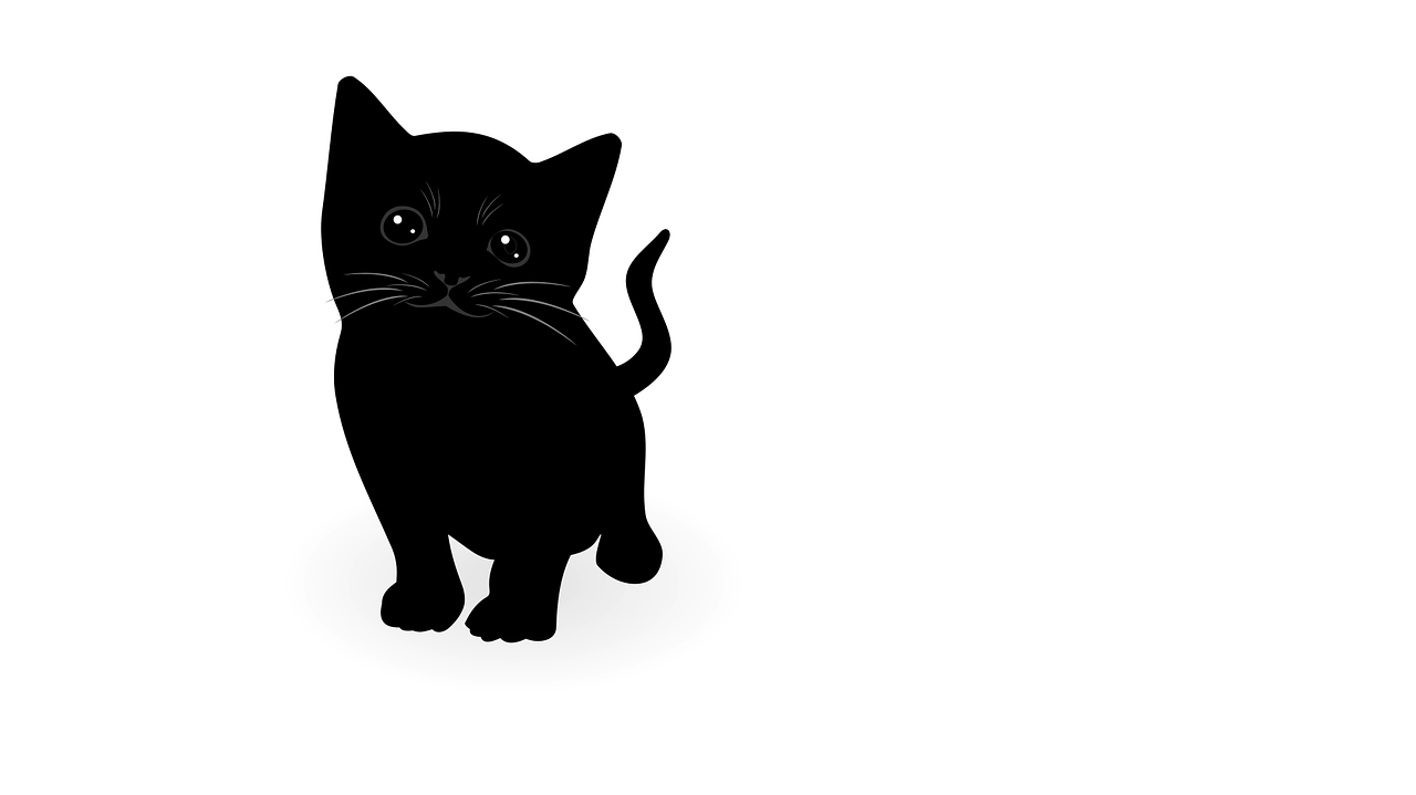a black cat standing in front of a white background, vector art, shutterstock, minimalism, the cutest kitten ever, wallpaper - 1 0 2 4, background is white and blank, sharp photo
